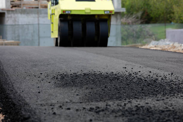 Best Local Driveway Pavers  in Bear Creek, FL
